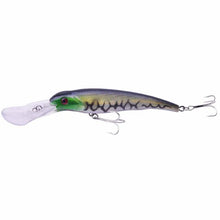 Big Minnow Fishing Lure 30g/16.5cm